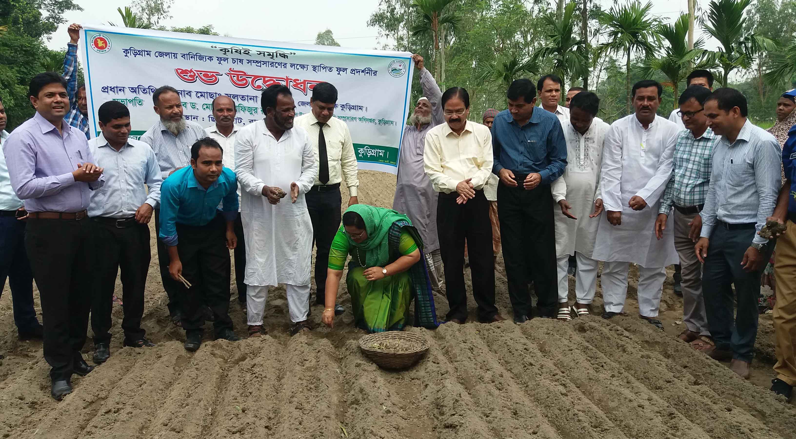 কুড়িগ্রামে বাণিজ্যিক ফুল চাষ